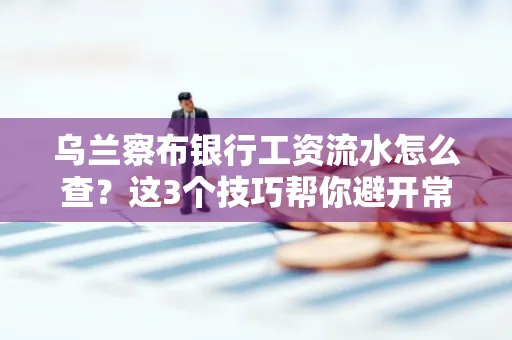 乌兰察布银行工资流水怎么查?这3个技巧帮你避开常见坑