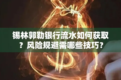 锡林郭勒银行流水如何获取?风险规避需哪些技巧?