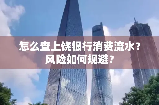 怎么查上饶银行消费流水?风险如何规避? 怎么查上饶银行消费流水?风险如何规避?