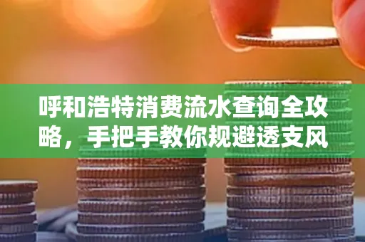 呼和浩特消费流水查询全攻略,手把手教你规避透支风险