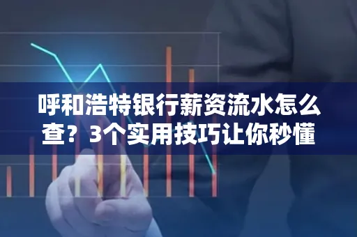 呼和浩特银行薪资流水怎么查？3个实用技巧让你秒懂