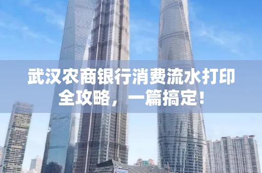 武汉农商银行消费流水打印全攻略,一篇搞定!