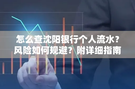 怎么查沈阳银行个人流水?风险如何规避?附详细指南