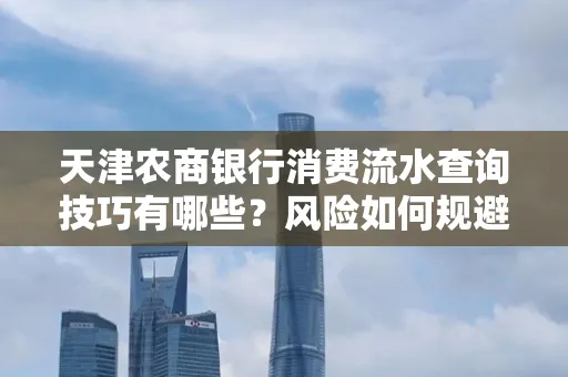 天津农商银行消费流水查询技巧有哪些?风险如何规避?