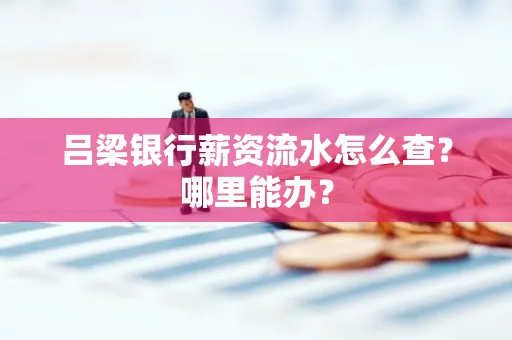 吕梁银行薪资流水怎么查?哪里能办?