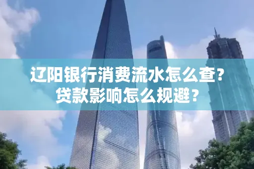 辽阳银行消费流水怎么查?贷款影响怎么规避?