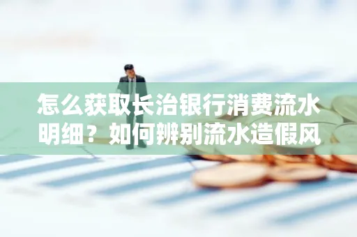 怎么获取长治银行消费流水明细?如何辨别流水造假风险?