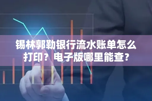 锡林郭勒银行流水账单怎么打印?电子版哪里能查?