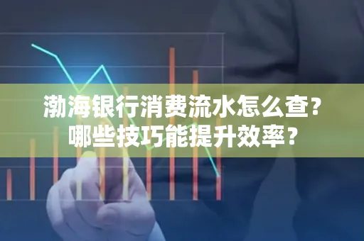 渤海银行消费流水怎么查?哪些技巧能提升效率?