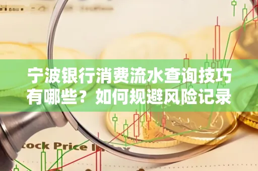 宁波银行消费流水查询技巧有哪些?如何规避风险记录?