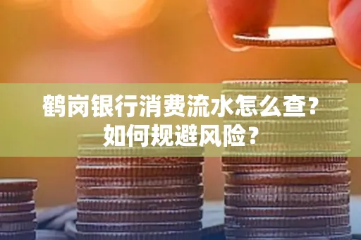 鹤岗银行消费流水怎么查?如何规避风险?