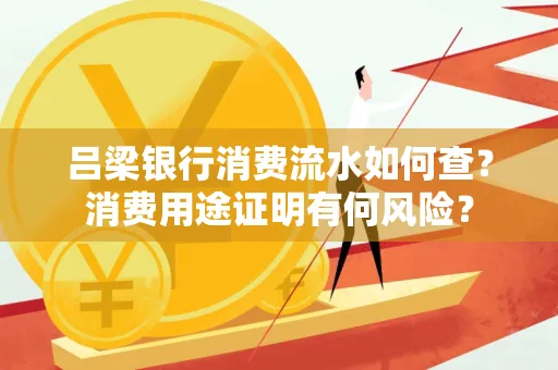 吕梁银行消费流水如何查?消费用途证明有何风险?