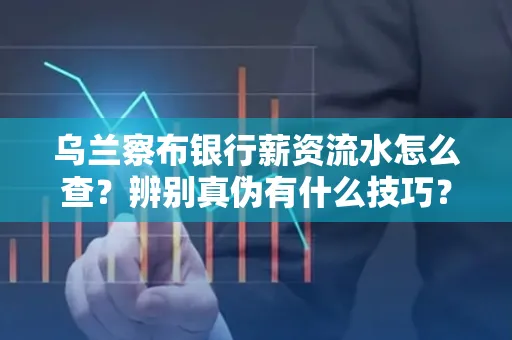 乌兰察布银行薪资流水怎么查?辨别真伪有什么技巧?