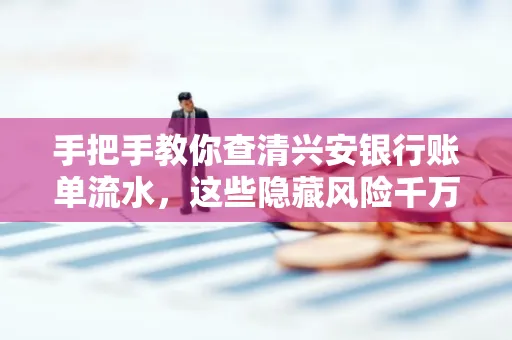 手把手教你查清兴安银行账单流水，这些隐藏风险千万注意！