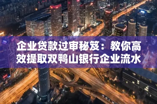 企业贷款过审秘笈：教你高效提取双鸭山银行企业流水