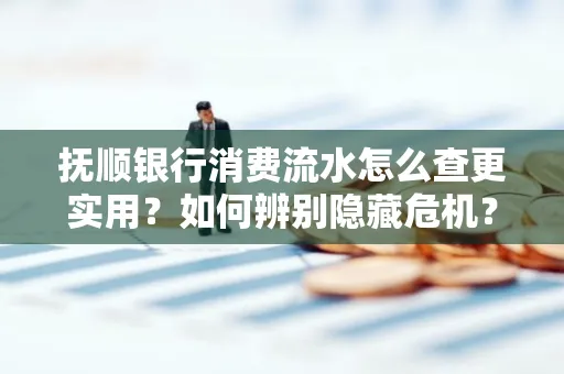 抚顺银行消费流水怎么查更实用?如何辨别隐藏危机?