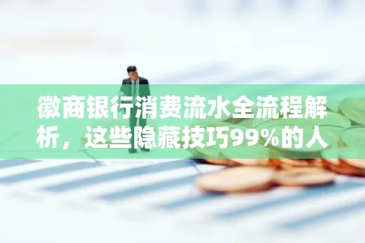 徽商银行消费流水全流程解析，这些隐藏技巧99%的人不知道