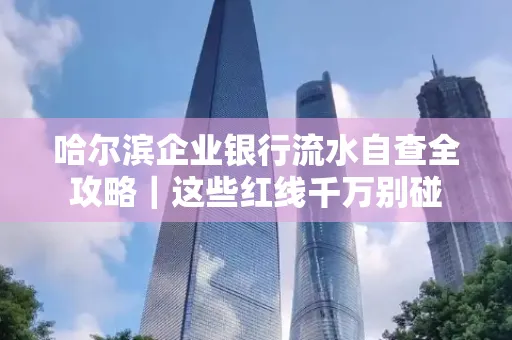 哈尔滨企业银行流水自查全攻略|这些红线千万别碰
