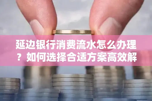 延边银行消费流水怎么办理?如何选择合适方案高效解决?