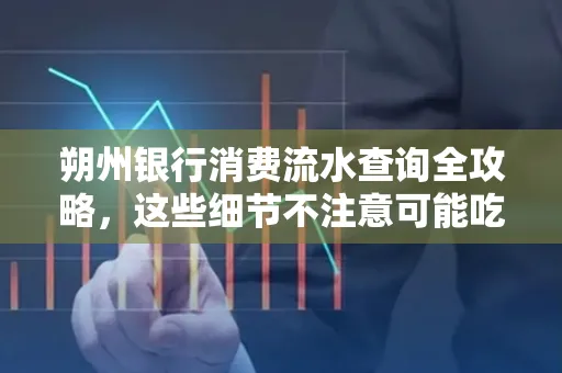 朔州银行消费流水查询全攻略,这些细节不注意可能吃大亏