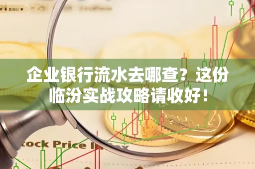 企业银行流水去哪查?这份临汾实战攻略请收好!