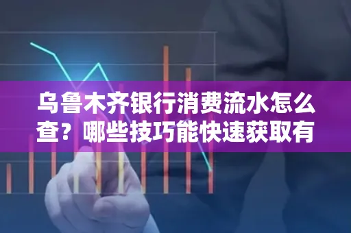 乌鲁木齐银行消费流水怎么查?哪些技巧能快速获取有效信息?