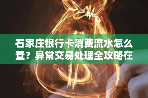 石家庄银行卡消费流水怎么查?异常交易处理全攻略在这里!