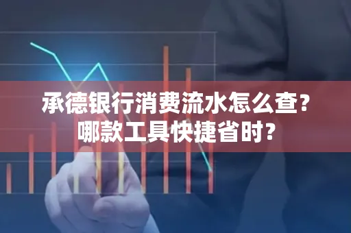 承德银行消费流水怎么查?哪款工具快捷省时?