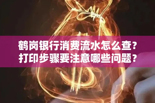 鹤岗银行消费流水怎么查?打印步骤要注意哪些问题?