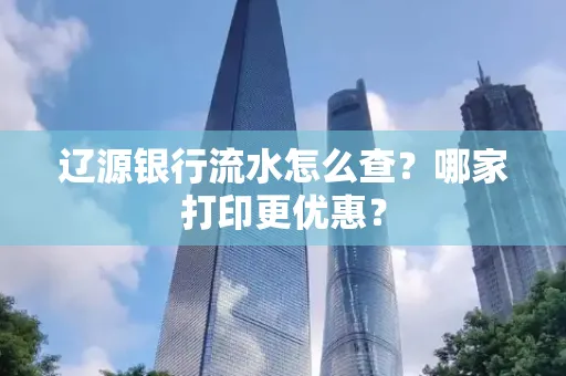 辽源银行流水怎么查?哪家打印更优惠?