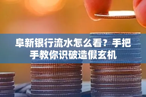 阜新银行流水怎么看?手把手教你识破造假玄机