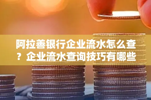 阿拉善银行企业流水怎么查?企业流水查询技巧有哪些?