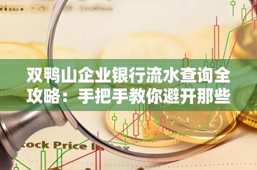 双鸭山企业银行流水查询全攻略:手把手教你避开那些坑