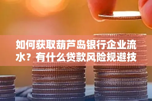 如何获取葫芦岛银行企业流水?有什么贷款风险规避技巧?