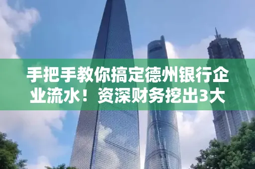 手把手教你搞定德州银行企业流水！资深财务挖出3大隐藏风险点