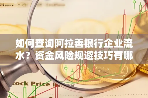 如何查询阿拉善银行企业流水？资金风险规避技巧有哪些？