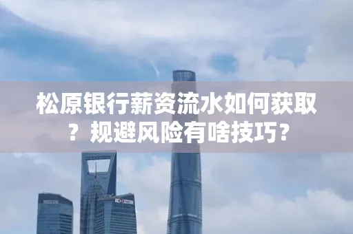 松原银行薪资流水如何获取?规避风险有啥技巧?