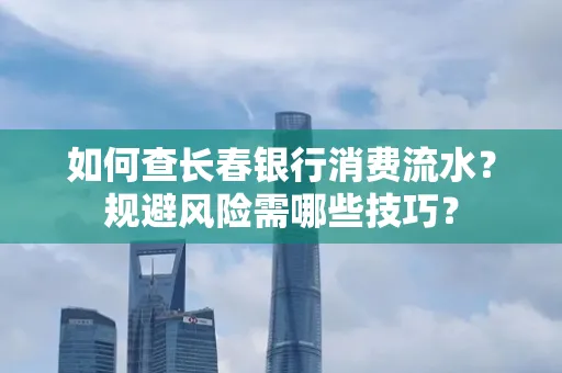 如何查长春银行消费流水?规避风险需哪些技巧?