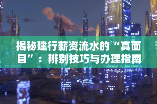 揭秘建行薪资流水的“真面目”:辨别技巧与办理指南大公开