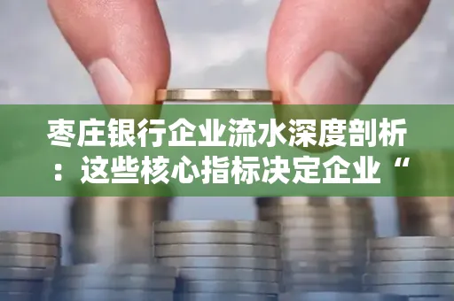 枣庄银行企业流水深度剖析:这些核心指标决定企业“钱袋子”健康度