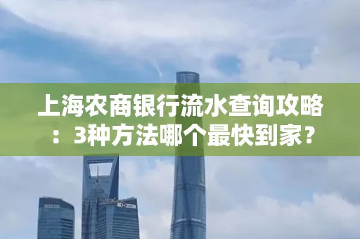 上海农商银行流水查询攻略:3种方法哪个最快到家?