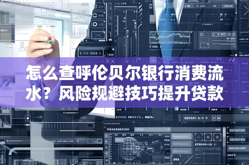 怎么查呼伦贝尔银行消费流水?风险规避技巧提升贷款率?